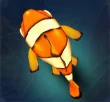 Clownfish